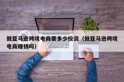 做亞馬遜跨境電商的投資與盈利分析