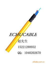 上海易初電線電纜 專業(yè)電氣設備用電纜產(chǎn)品列表與經(jīng)營概述